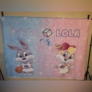 Gender reveal baby lola and baby bugs !